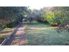 Terreno en venta en Bellaterra, Cerdanyola del Vallès photo 0