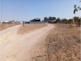 Terreno en venta en Calle Huerto Palomito, Dos Hermanas, Sevilla photo 0