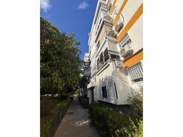 SE VENDE PISO DE UN DORMITORIO EN SEVILLA photo 0