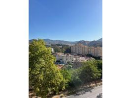 Piso en venta en El Limonar-El Mayorazgo-Peinado Grande(29016) photo 0