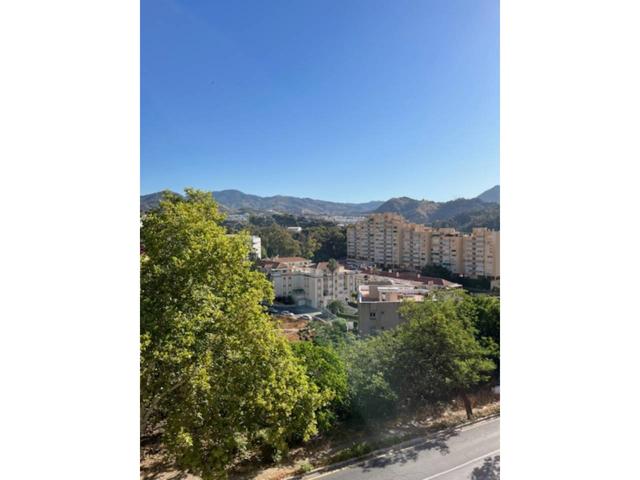 Piso en venta en El Limonar-El Mayorazgo-Peinado Grande(29016) photo 0