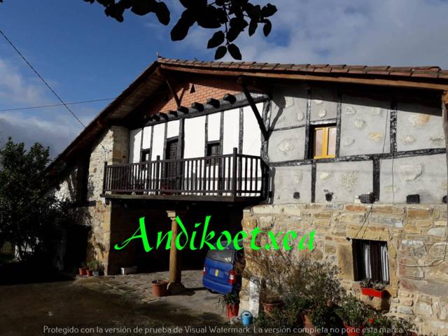 Casa rustica en venta en Amorebieta photo 0