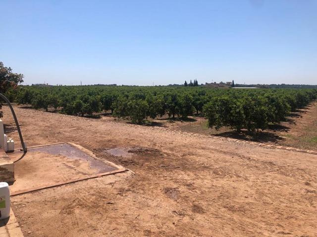 Terreno Urbanizable En venta en Corral Del Bayo, Lliria photo 0