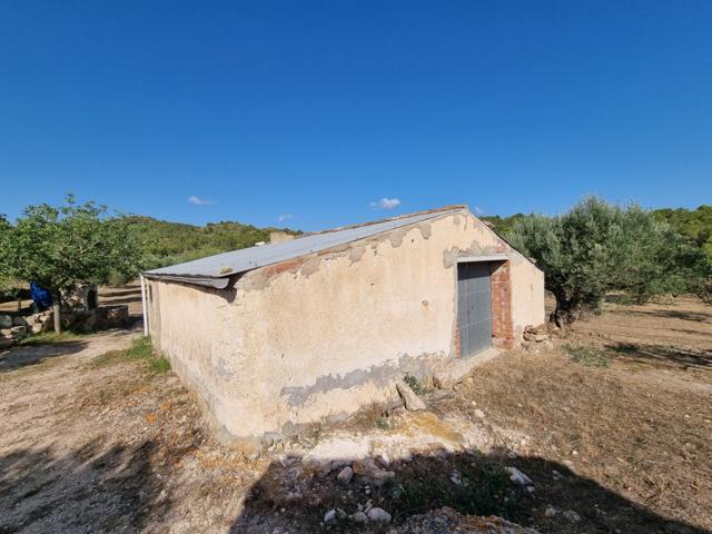 Tenemos en la zona de Tivissa un Almacen con muchas posibilidades photo 0