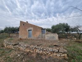 Económica Finca, con antigua caseta de campo de 25 M2 en El Perello photo 0