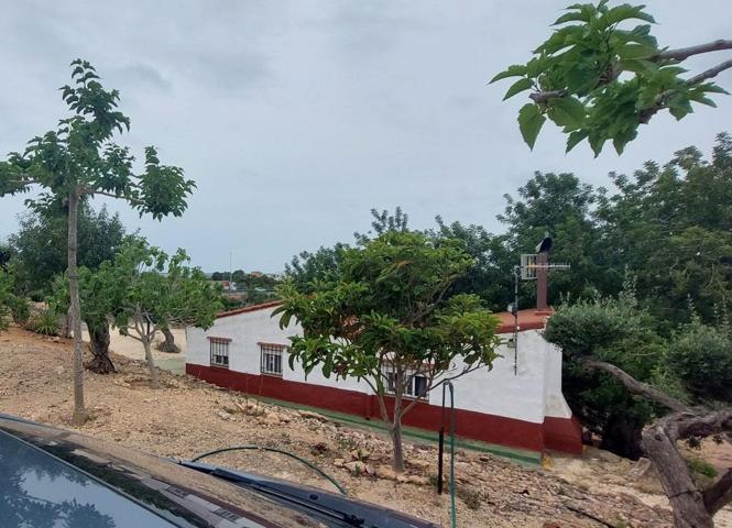 Disfruta de la tranquilidad en esta finca rústica con jardín y piscina propia en L' Ampolla photo 0