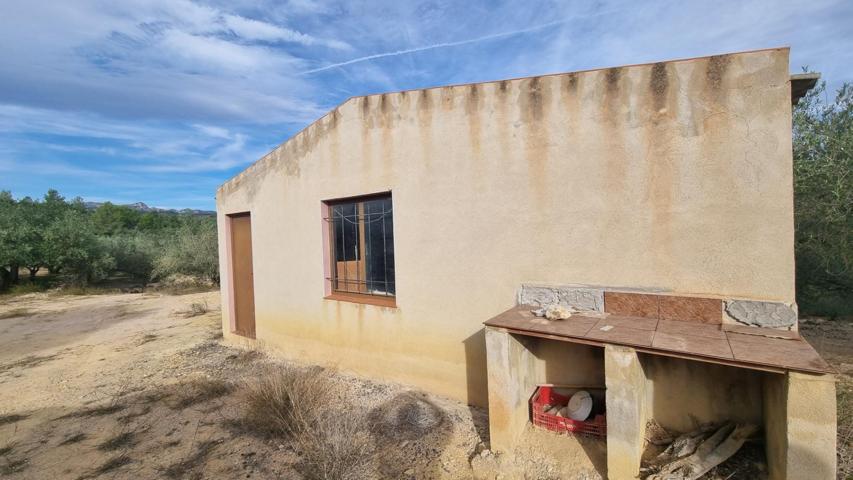 ¡Haz Realidad tus Ideas! Casa para Reformar en El Perelló te Espera. photo 0