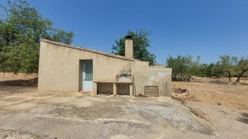 Oportunidad Única en L'Ampolla: Vistas Espectaculares al Mar, Montaña y Delta del Ebro photo 0