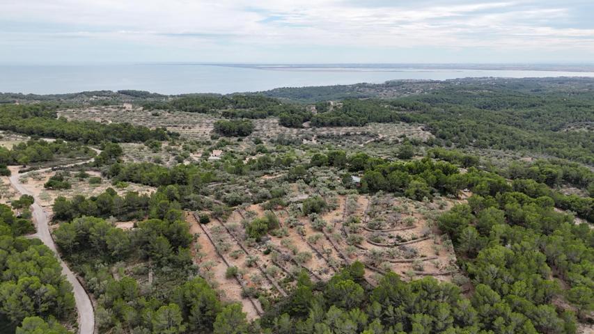 Casa Rústica en El Perelló - Un Refugio Natural con Encanto Mediterráneo photo 0