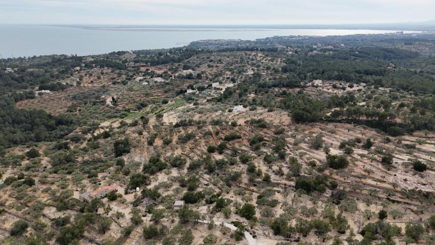 EXCLUSIVA Finca Rústica con Vistas al Mar cerca de l´illot de L´Ametlla de Mar photo 0