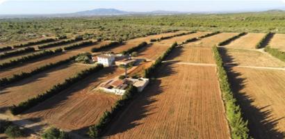 Finca rústica de 24 hectáreas con 3 viviendas independientes, pozo legalizado y múltiples posibilidades. photo 0