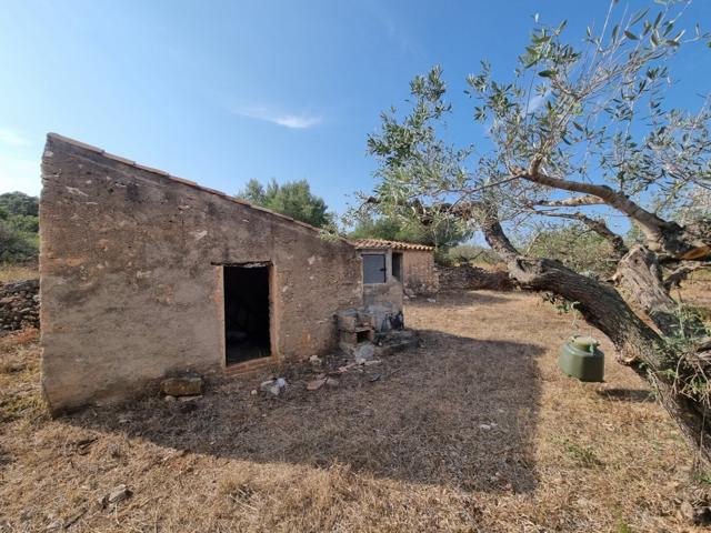 Oportunidad Única: Finca con Casitas Típicas y Entorno Privilegiado photo 0