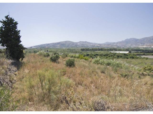 FINCA RUSTICA photo 0