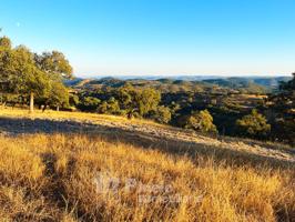 MARAVILLOSA FINCA DE 30 HA. EN EL PARQUE NATURAL SIERRA NORTE SEVILLA photo 0