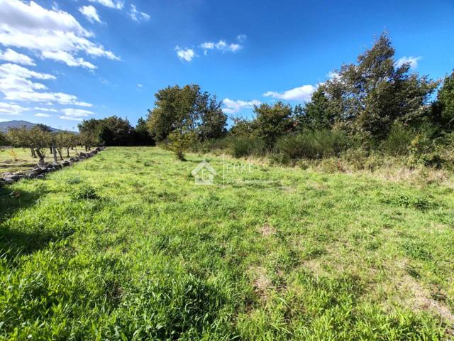 TERRENO URBANO EN FREÁN, CARNOTA photo 0