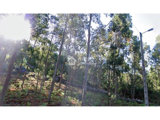 Finca de una hectárea en Quilmas, Carnota. photo 0