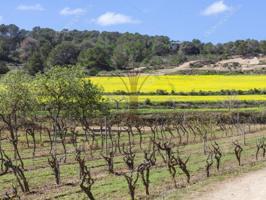 Casa De Campo En alquiler en Sant Josep De Sa Talaia photo 0