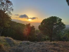 Gran terreno espectacular, a 5 minutos del centro de Mataró photo 0