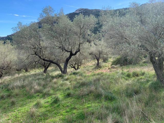 FINCA RUSTICA ALFARA DE CARLES (TARRAGONA) photo 0