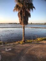 Apartamento en Eucaliptus, 65m2, amueblado y equipado. photo 0