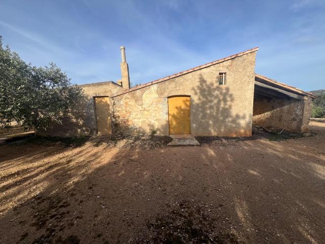 FINCA RÚSTICA A 10 MINUTOS DE L'AMPOLLA photo 0