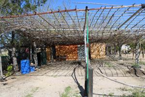 TERRENO RUSTICO EN L´ALDEA 12.844M2 photo 0