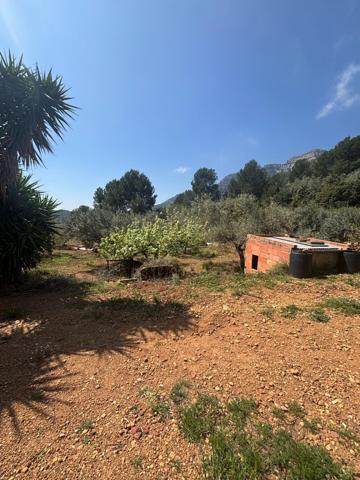 TERRENO RUSTICO photo 0