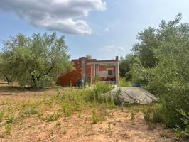 FINCA RUSTICA EN FREGINALS DE 3 JORNALES DE OLIVOS photo 0