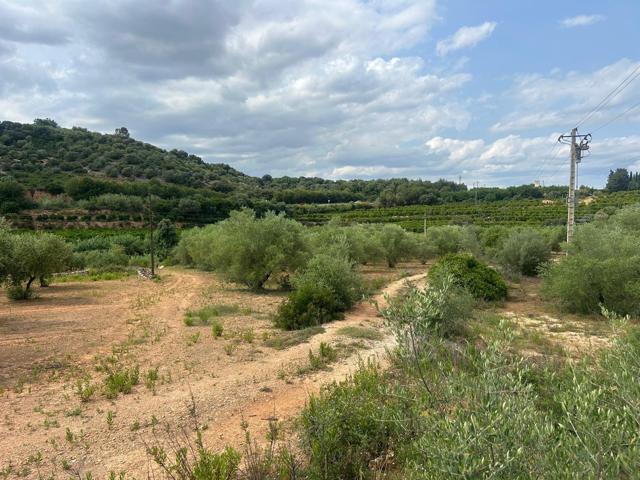 FINCA RUSTICA EN FREGINALS DE 3 JORNALES DE OLIVOS photo 0