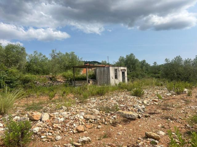 FINCA RUSTICA EN FREGINALS DE 3 JORNALES DE OLIVOS photo 0