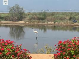 CHALET EN VENTA CAMÍ DEL TRAVES. photo 0