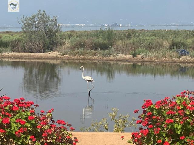 CHALET EN VENTA CAMÍ DEL TRAVES. photo 0