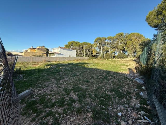 Oportunidad Única: Parcela en Primera Línea de Playa en L'Ampolla de 642 m2 photo 0