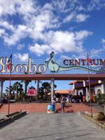 Bar-Cafetería en Venta en el Icónico Centro Comercial Yumbo, Playa del Inglés photo 0