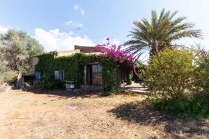 PRECIOSA VIVIENDA MALLORQUINA CON INFINITAS POSIBILIDADES photo 0