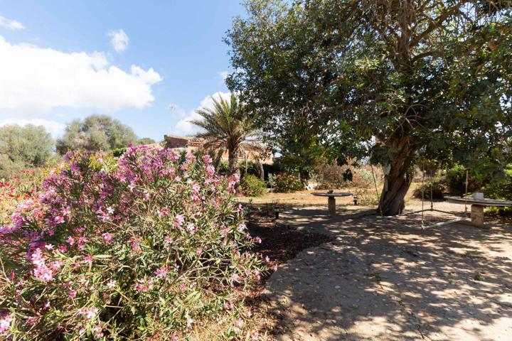 PRECIOSA VIVIENDA MALLORQUINA CON INFINITAS POSIBILIDADES photo 0