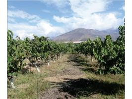 GRAN OCASIÓN!!!!.....VENTA DE TERRENO AGRÍCOLA A UN PRECIO INCREIBLE photo 0