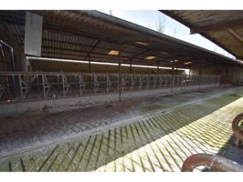 NAVE CON TERRENO EN SOLORZANO photo 0