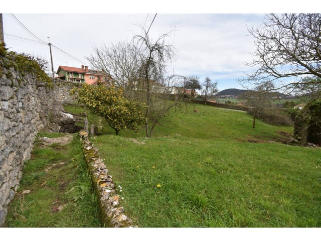 CASA CON TERRENO EN LA LOCALIDAD DE BAREYO photo 0