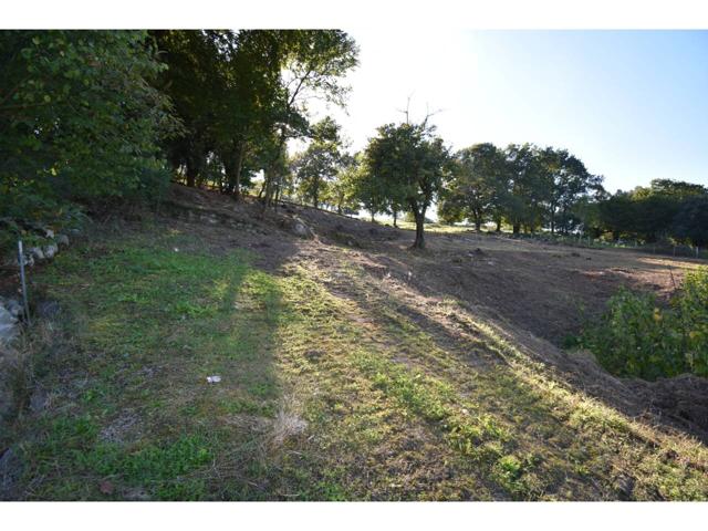 TERRENO EN CARASA photo 0