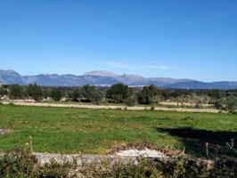 FINCA RÚSTICA PERFECTA PARA CONSTRUIR photo 0