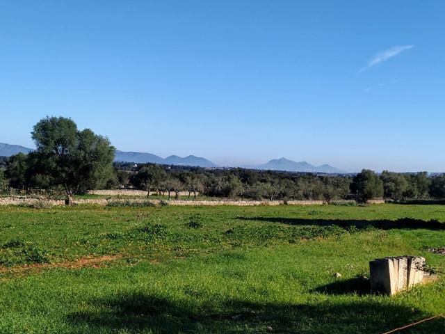 FINCA RÚSTICA PERFECTA PARA CONSTRUIR photo 0