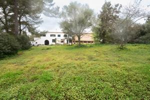 IMPRESIONANTE FINCA RÚSTICA photo 0