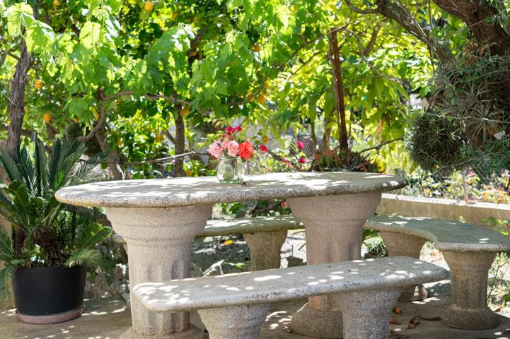EXCELENTE FINCA RUSTICA EN SANT JOAN photo 0