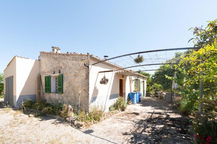 EXCELENTE FINCA RUSTICA EN SANT JOAN photo 0