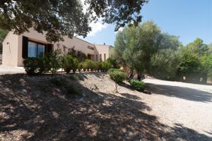 BONITA FINCA RÚSTICA EN SINEU EN PLENA NATURALEZA photo 0