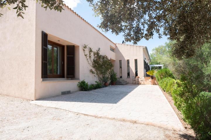 BONITA FINCA RÚSTICA EN SINEU EN PLENA NATURALEZA photo 0