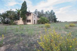 MAGNIFICA FINCA EN ALQUILER EN SINEU photo 0