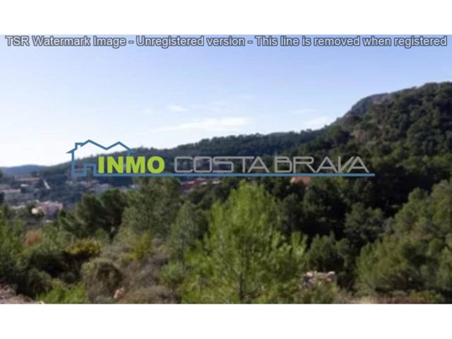 Parcela de 885m2 en Serra Brava (Lloret de Mar) photo 0