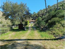 Casa rustica Andratx photo 0